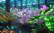 数字植物，一场数字革命下的植物保护新范式